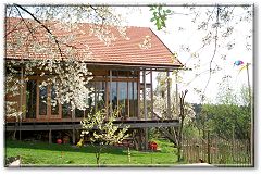 18.4.2005 Kirschbl�te