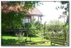 6.Juli 2005 KirschErnte